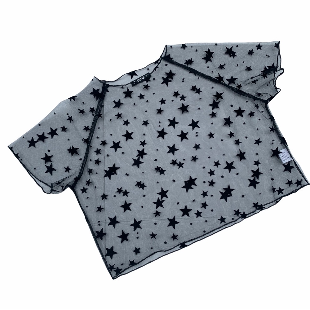 Star Pattern Sheer Mesh Crop Top